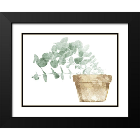 Eucalyptus Planted Mate Black Modern Wood Framed Art Print with Double Matting by Villa, Mlli