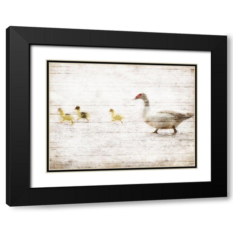 Duck Duck Duck Black Modern Wood Framed Art Print with Double Matting by Villa, Mlli