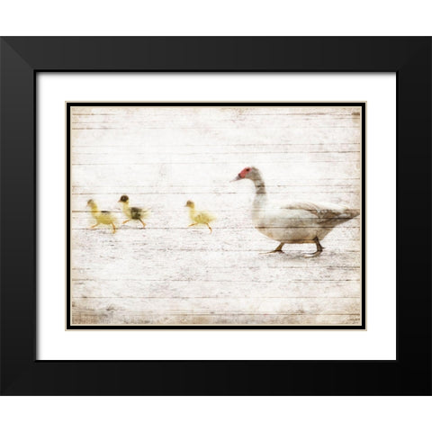 Duck Duck Duck Black Modern Wood Framed Art Print with Double Matting by Villa, Mlli