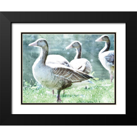 Goose Crew Black Modern Wood Framed Art Print with Double Matting by Villa, Mlli