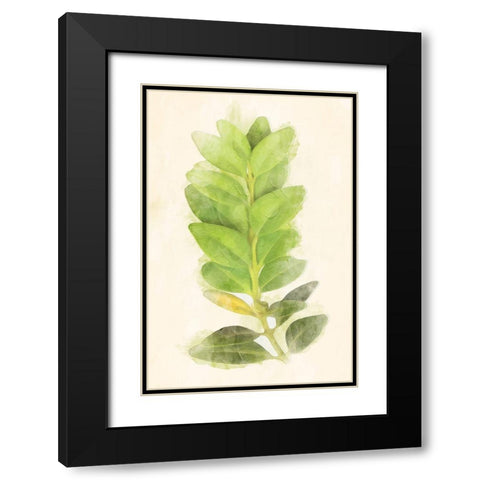 Green Leaves Black Modern Wood Framed Art Print with Double Matting by Villa, Mlli