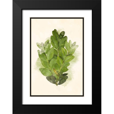 More Green Leaves Mate Black Modern Wood Framed Art Print with Double Matting by Villa, Mlli