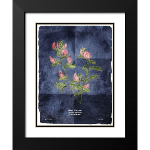 Flower Page Blue Black Modern Wood Framed Art Print with Double Matting by Villa, Mlli