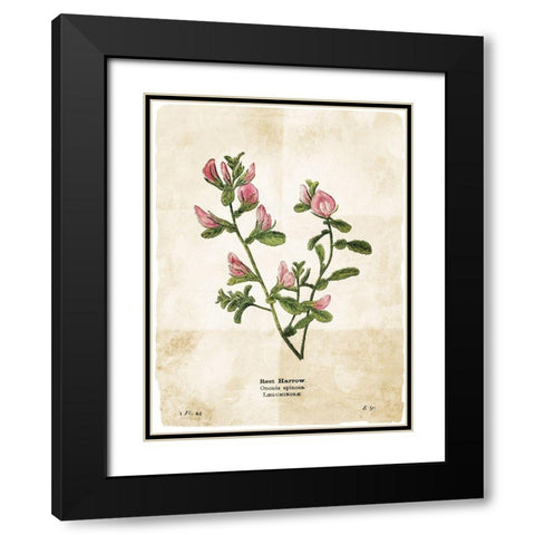 Flower Page Black Modern Wood Framed Art Print with Double Matting by Villa, Mlli