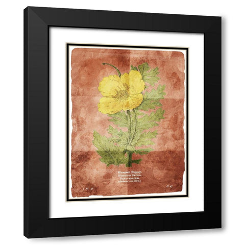 Flower Page Two Brown Black Modern Wood Framed Art Print with Double Matting by Villa, Mlli