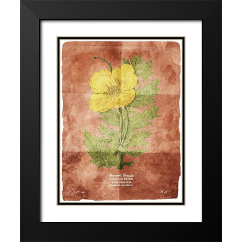 Flower Page Two Brown Black Modern Wood Framed Art Print with Double Matting by Villa, Mlli