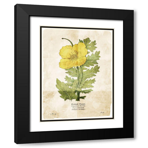 Flower Page Two Black Modern Wood Framed Art Print with Double Matting by Villa, Mlli
