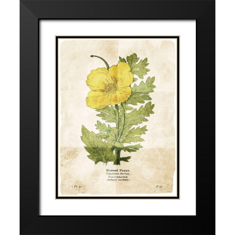 Flower Page Two Black Modern Wood Framed Art Print with Double Matting by Villa, Mlli