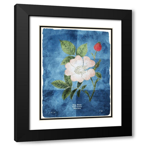 Flower Page Three Blue Black Modern Wood Framed Art Print with Double Matting by Villa, Mlli