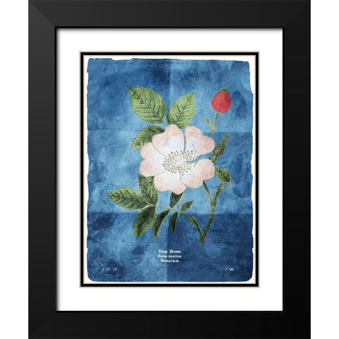 Flower Page Three Blue Black Modern Wood Framed Art Print with Double Matting by Villa, Mlli