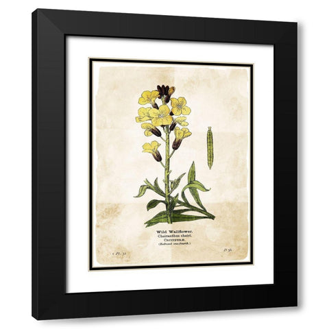 Flower Page Four Black Modern Wood Framed Art Print with Double Matting by Villa, Mlli