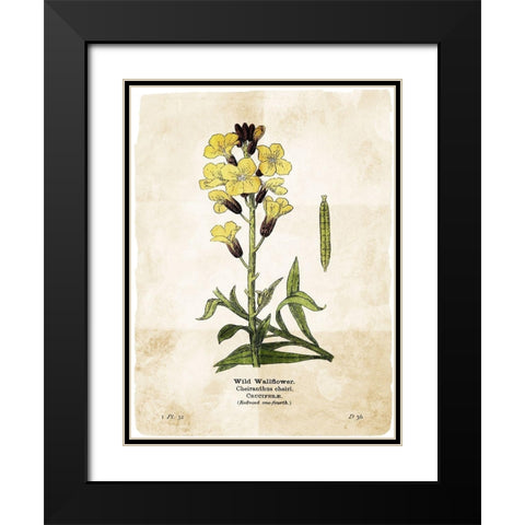 Flower Page Four Black Modern Wood Framed Art Print with Double Matting by Villa, Mlli