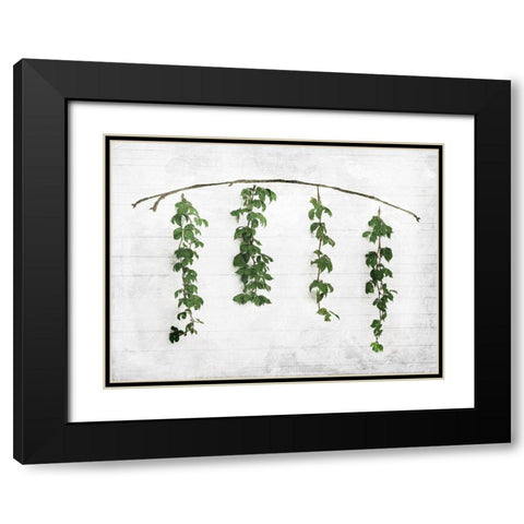 Hanging Leaves On Wall Black Modern Wood Framed Art Print with Double Matting by Villa, Mlli