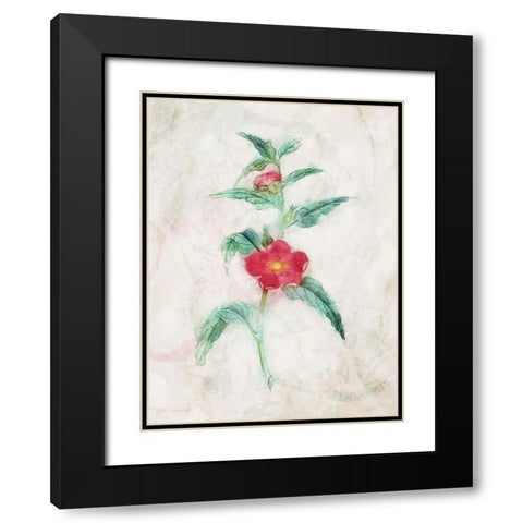 Water Flower Black Modern Wood Framed Art Print with Double Matting by Villa, Mlli