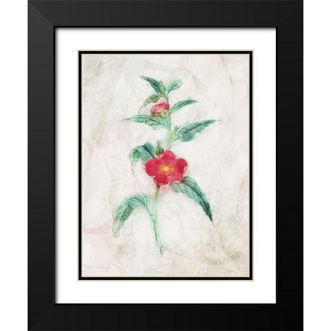 Water Flower Black Modern Wood Framed Art Print with Double Matting by Villa, Mlli