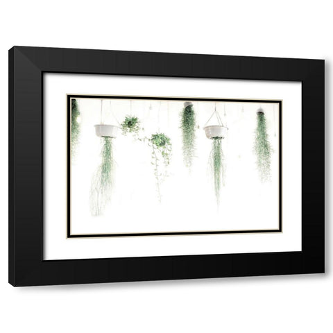 High Plants Black Modern Wood Framed Art Print with Double Matting by Villa, Mlli