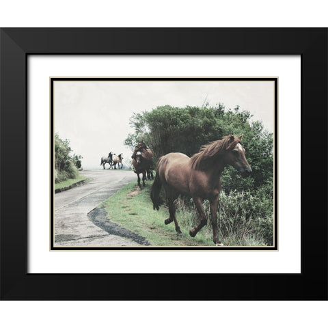 Horses Down The Street Black Modern Wood Framed Art Print with Double Matting by Villa, Milli