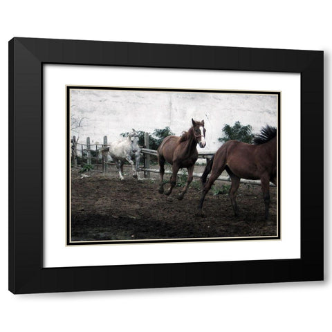 Horses Down The Dirt Road Black Modern Wood Framed Art Print with Double Matting by Villa, Milli