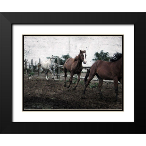 Horses Down The Dirt Road Black Modern Wood Framed Art Print with Double Matting by Villa, Milli