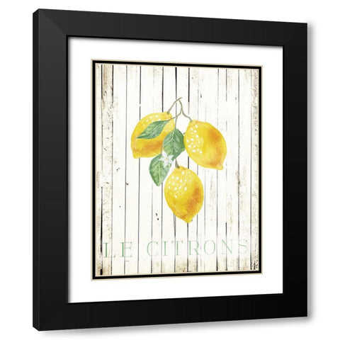 Wood Le Citrons Black Modern Wood Framed Art Print with Double Matting by Villa, Milli