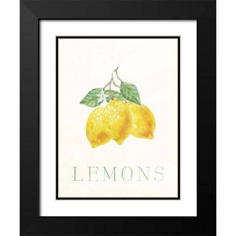 Clean Lemons Black Modern Wood Framed Art Print with Double Matting by Villa, Milli
