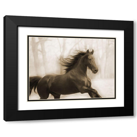 Horse In The Wind Black Modern Wood Framed Art Print with Double Matting by Villa, Milli