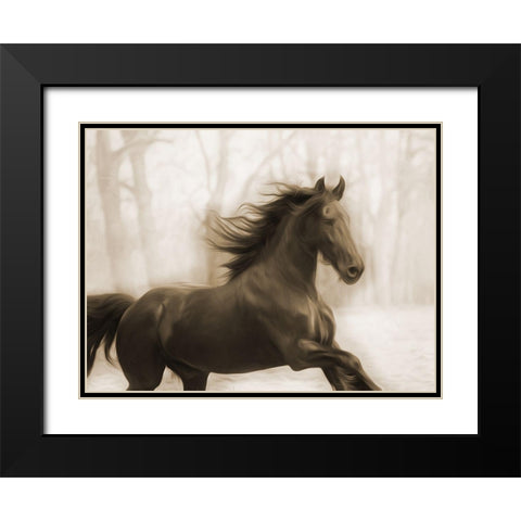 Horse In The Wind Black Modern Wood Framed Art Print with Double Matting by Villa, Milli