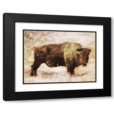 Buffalo Stance Black Modern Wood Framed Art Print with Double Matting by Villa, Milli