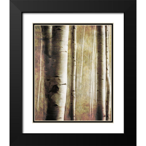 Burnt Birch Family 1 Black Modern Wood Framed Art Print with Double Matting by Villa, Milli