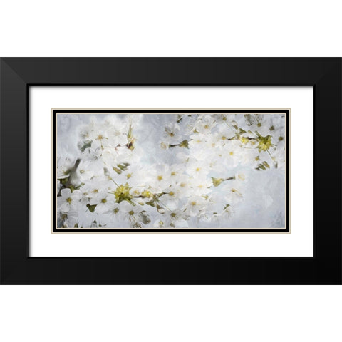 More White Flowers In Grey Black Modern Wood Framed Art Print with Double Matting by Villa, Mlli