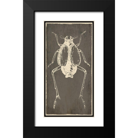 Bug Life Two Black Modern Wood Framed Art Print with Double Matting by Villa, Mlli