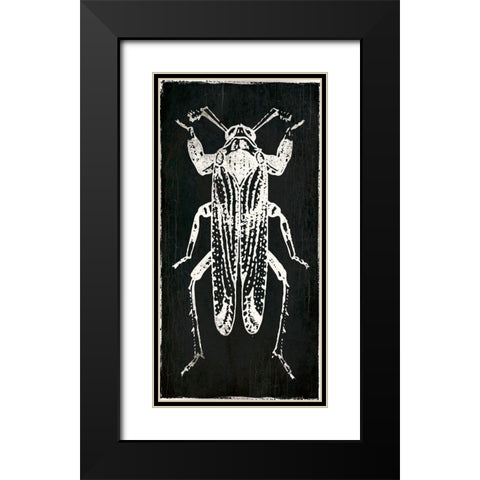 Bug Life Four Black Black Modern Wood Framed Art Print with Double Matting by Villa, Mlli