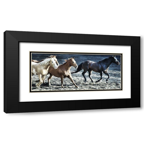Lets Go Horses Black Modern Wood Framed Art Print with Double Matting by Villa, Milli
