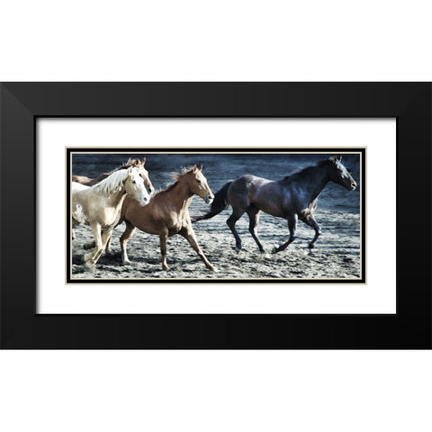 Lets Go Horses Black Modern Wood Framed Art Print with Double Matting by Villa, Milli