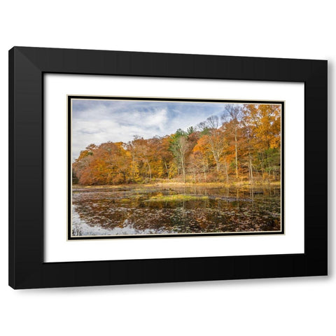 Over The Grove Black Modern Wood Framed Art Print with Double Matting by Orlando