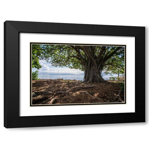 Shaded Tree Black Modern Wood Framed Art Print with Double Matting by Orlando