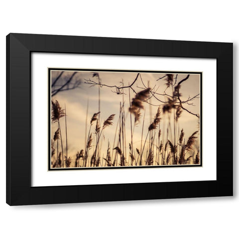 No Worries Black Modern Wood Framed Art Print with Double Matting by Orlando