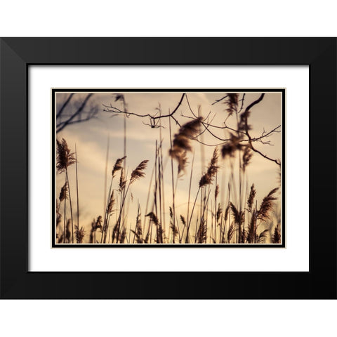 No Worries Black Modern Wood Framed Art Print with Double Matting by Orlando