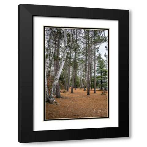 Wood Land Black Modern Wood Framed Art Print with Double Matting by Orlando