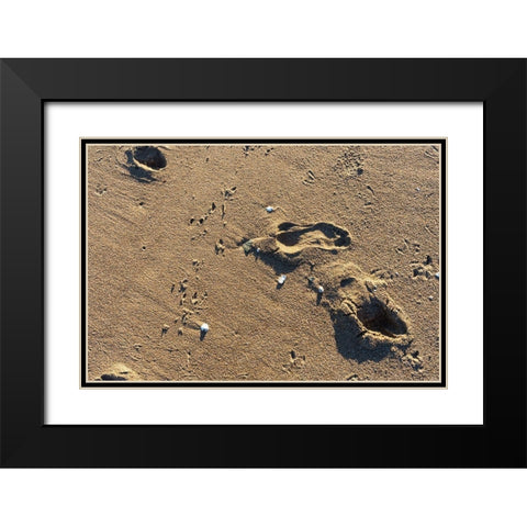 Foot Prints Black Modern Wood Framed Art Print with Double Matting by Orlando