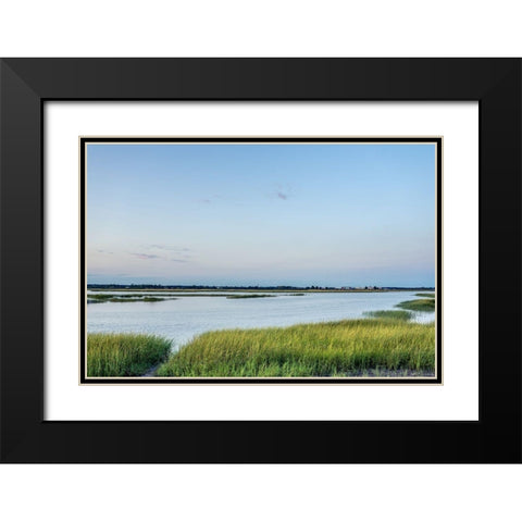 Summer Marsh Black Modern Wood Framed Art Print with Double Matting by Orlando