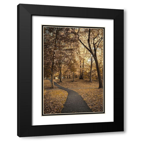 Wooded Path Black Modern Wood Framed Art Print with Double Matting by Orlando