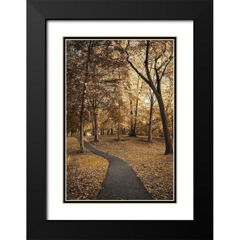 Wooded Path Black Modern Wood Framed Art Print with Double Matting by Orlando