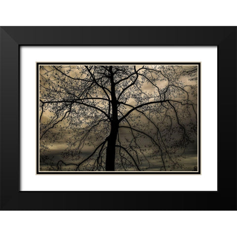 Conversation Of Earth Black Modern Wood Framed Art Print with Double Matting by DeLuca, Pat