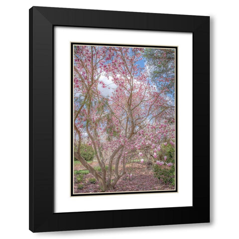 Switch Of Independence Black Modern Wood Framed Art Print with Double Matting by DeLuca, Pat