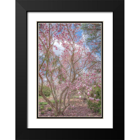 Switch Of Independence Black Modern Wood Framed Art Print with Double Matting by DeLuca, Pat