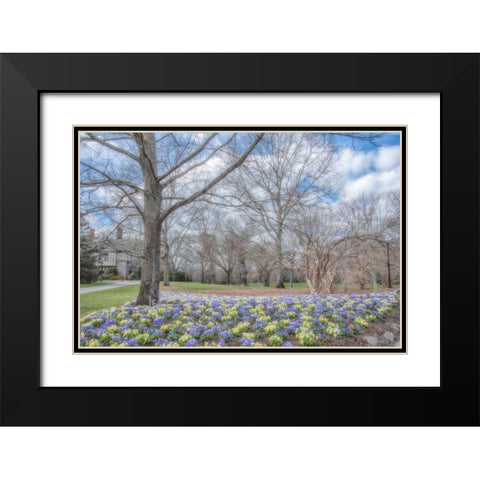 Overdue Wonder Black Modern Wood Framed Art Print with Double Matting by DeLuca, Pat