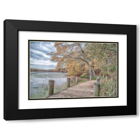 Blydenburg Park Black Modern Wood Framed Art Print with Double Matting by DeLuca, Pat