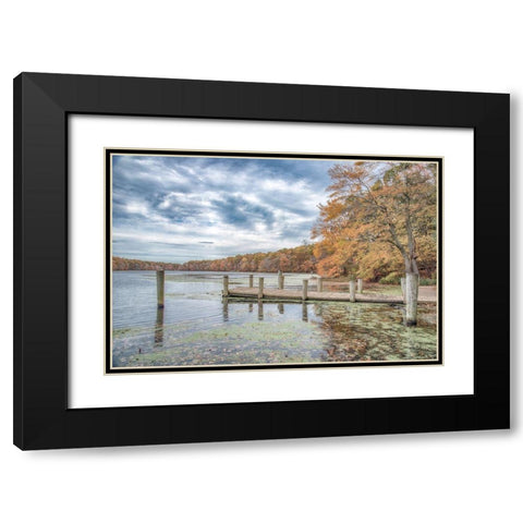 Blydenburg Park 2 Black Modern Wood Framed Art Print with Double Matting by DeLuca, Pat