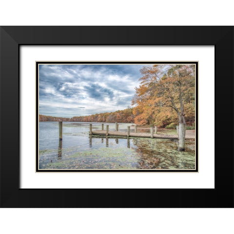 Blydenburg Park 2 Black Modern Wood Framed Art Print with Double Matting by DeLuca, Pat